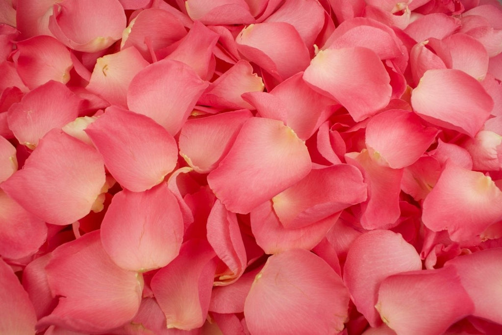 Rozenblaadjes, 2500 stks Kunstmatige Zijde Bloemblaadjes, Nep Rozenblaadjes Confetti voor Bruiloft Feestje Romantische Nacht Voorstellen Valentijnsdag Bed Tafel Scatter Decoratie (Donkerrood Rozenblaadjes, 2500 stks Kunstmatige Zijde Bloemblaadjes, Nep Rozenblaadjes Confetti voor Bruiloft Feestje Romantische Nacht Voorstellen Valentijnsdag Bed Tafel Scatter Decoratie (Donkerrood