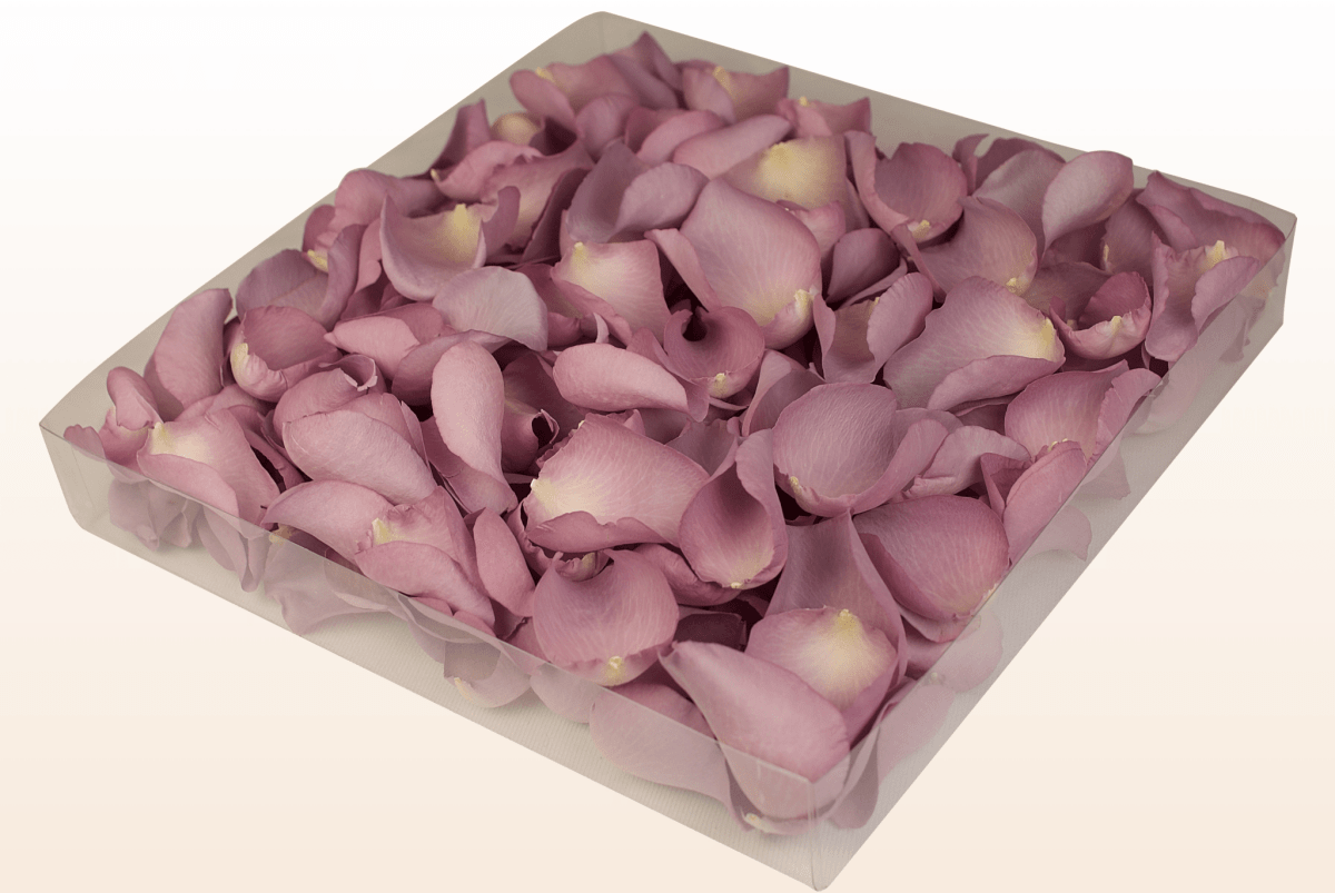 Freeze-dried rose petals, lovely lilac – 1 litre box