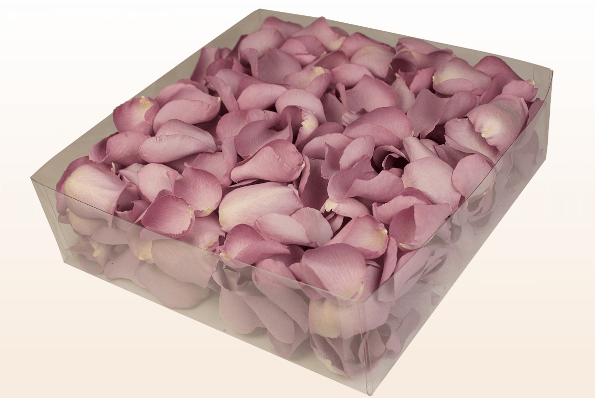 Freeze-dried rose petals, lovely lilac – 2 litre box
