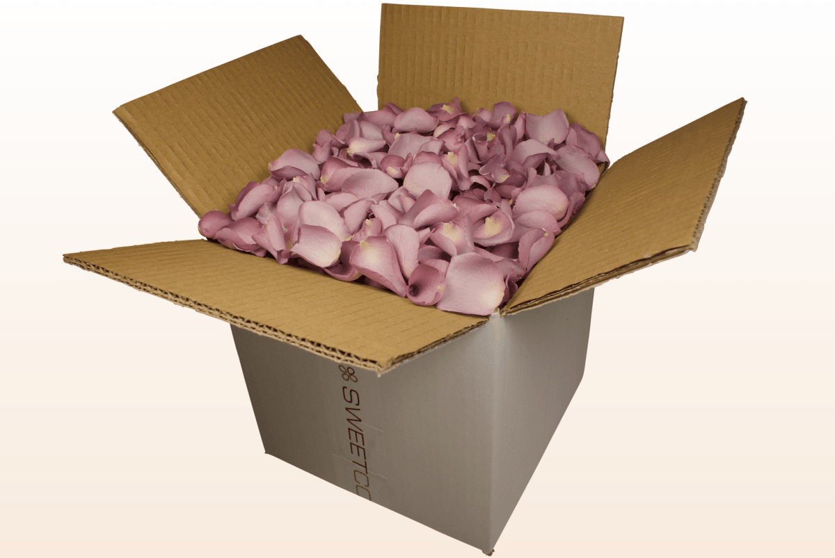 Freeze-dried rose petals, lovely lilac – 8 litre box
