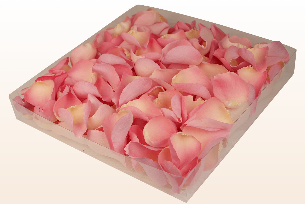 Freeze-dried rose petals, soft pink – 1 litre box