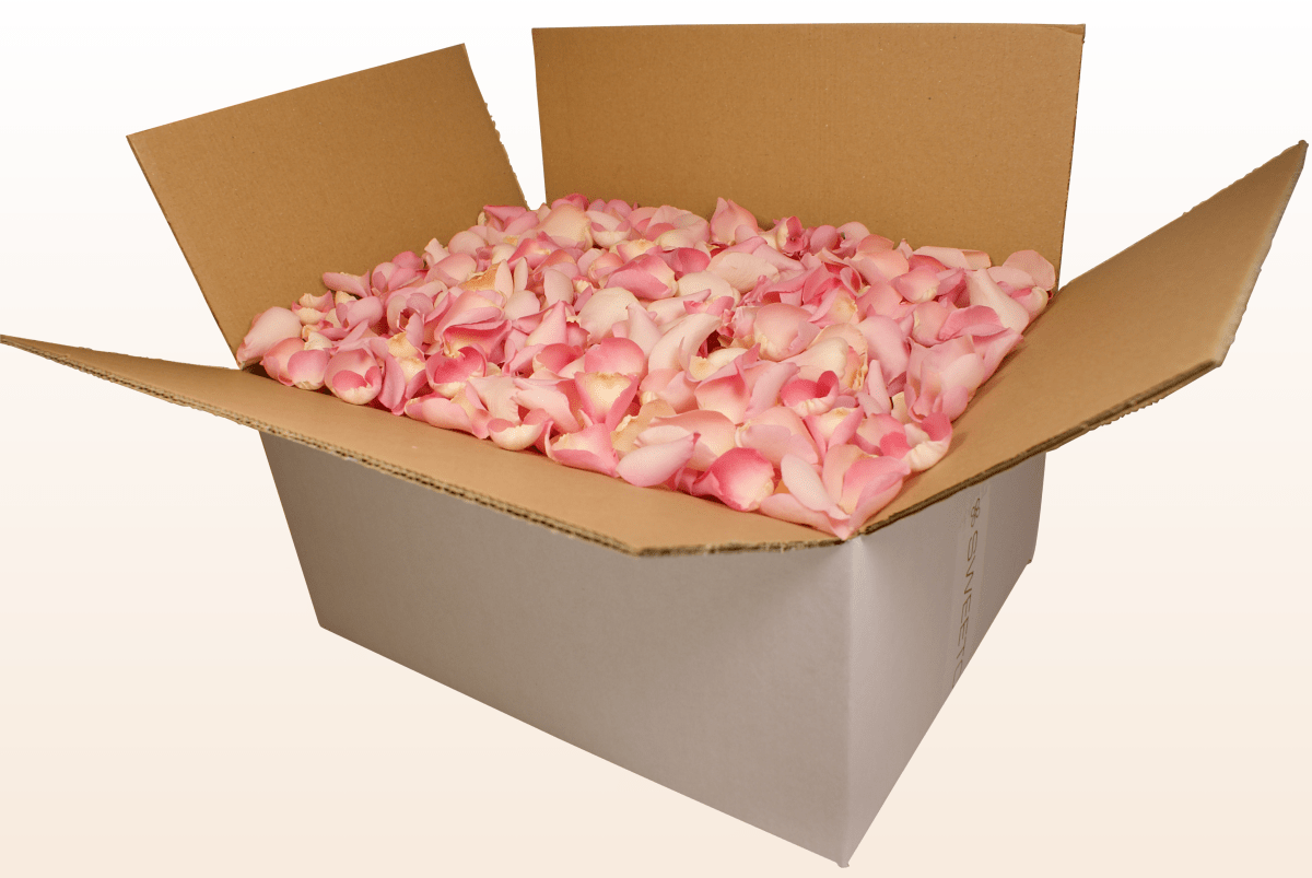 Freeze-dried rose petals, soft pink – 24 litre box