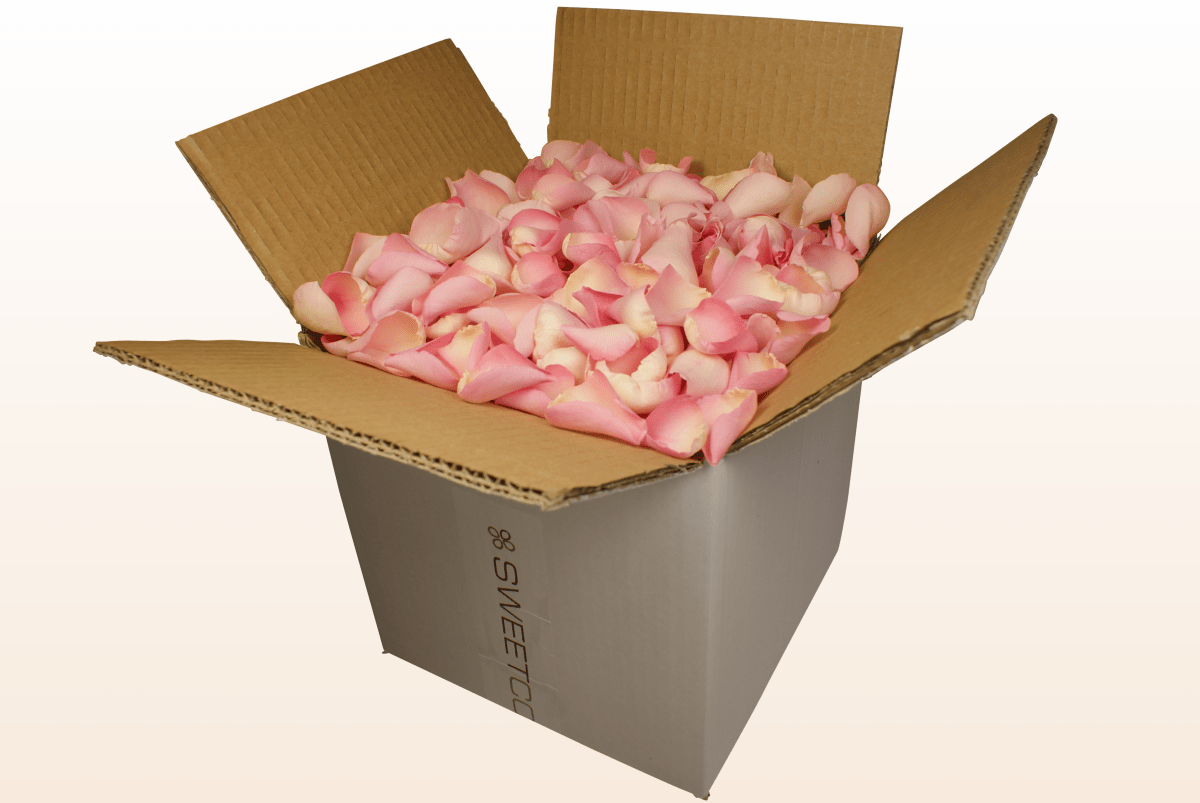 Freeze-dried rose petals, soft pink – 8 litre box