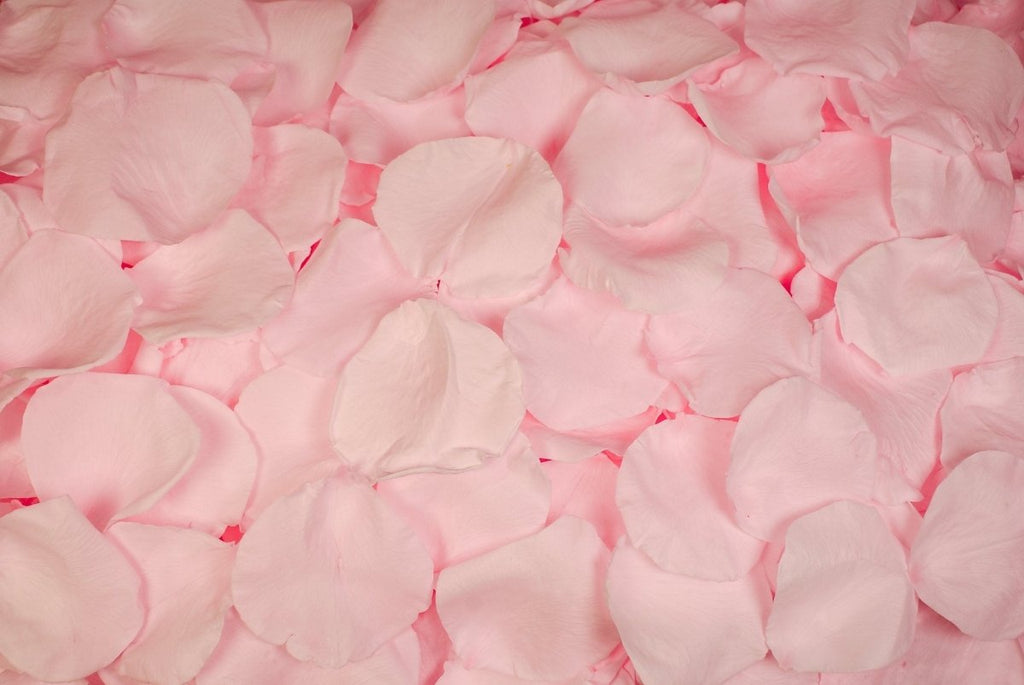 100 stuks rozenblaadjes kunstbloemen for bruiloft decoratie 100 stuks rozenblaadjes kunstbloemen for bruiloft decoratie