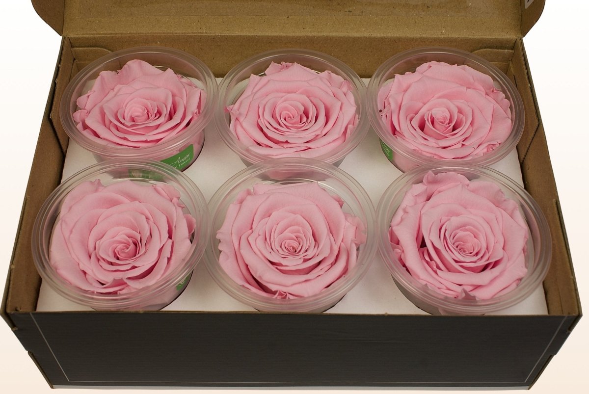 Beaulasting Langdurige Bewaarde Rozen in een Doos Last a Year Forever Bloemen voor Haar Moeder Vrouw Verjaardag Verjaardag (Ronde Zwarte Doos, Geel Beaulasting Langdurige Bewaarde Rozen in een Doos Last a Year Forever Bloemen voor Haar Moeder Vrouw Verjaardag Verjaardag (Ronde Zwarte Doos, Geel