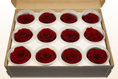 Maat S, 12 rozen